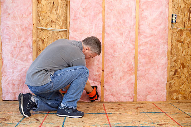 Best Energy Efficiency Solutions in Spring Valley, MN